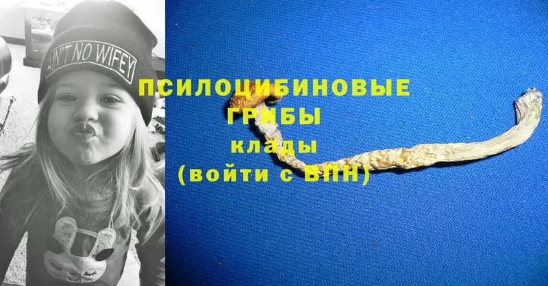 Псилоцибиновые грибы Psilocybine cubensis  МЕГА ССЫЛКА  Микунь 